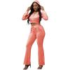 imagePINSV Women 2 Piece Outfits Velour Tracksuit Sets Long Sleeve Zip Up Crop Top Hoodie Bootcut Pants Matching Set Jogging Velvet Track Suits Pink L