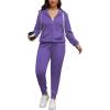 imagePINSV Women Plus Size 2 Piece Outfits Sweatsuits Full Zip Hooded Sweatshirt Sweatpants TracksuitsAlilac